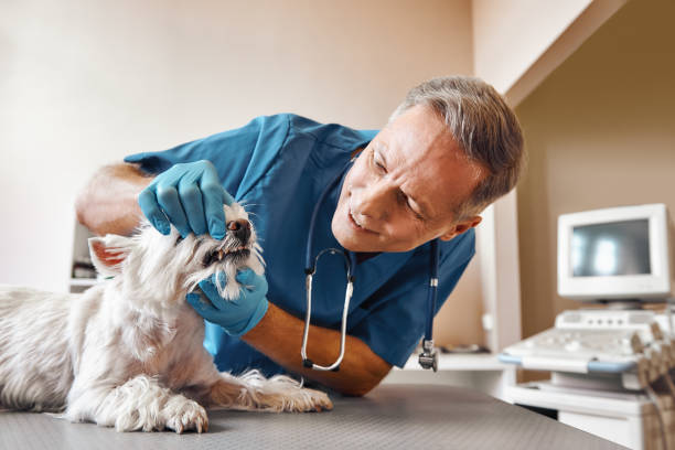 Best Urgent Dental Care  in Valley Falls, KS
